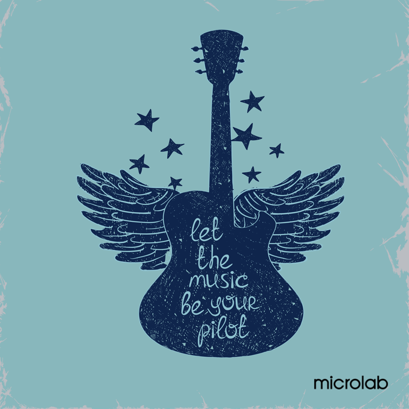 MicrolabAR's tweet image. ¡Like si la música guía tu vida!