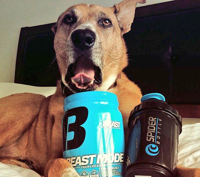 MuscleFoodsUSA's tweet photo. Needless to say Clark is pretty stoked with his new @spider_bottle 😀 http://t.co/tdV6fvJnTo