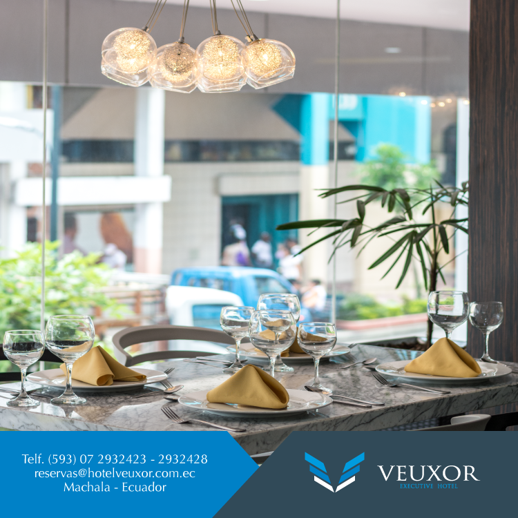 hotelveuxor's tweet photo. ¡Déjate cautivar por los detalles! Acabados de lujo y espacios que te brindarán un ambiente único y acogedor #Machala http://t.co/f8CzITFBHI