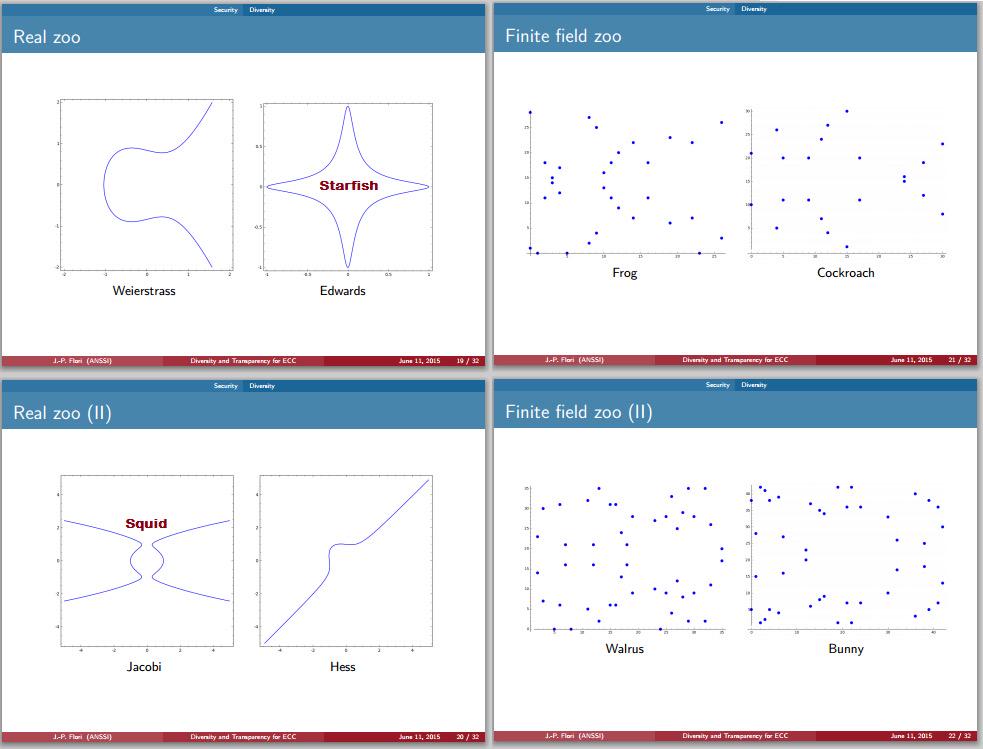 ECCTLS's tweet image. #ECCWorkshop 
The ECC Zoo