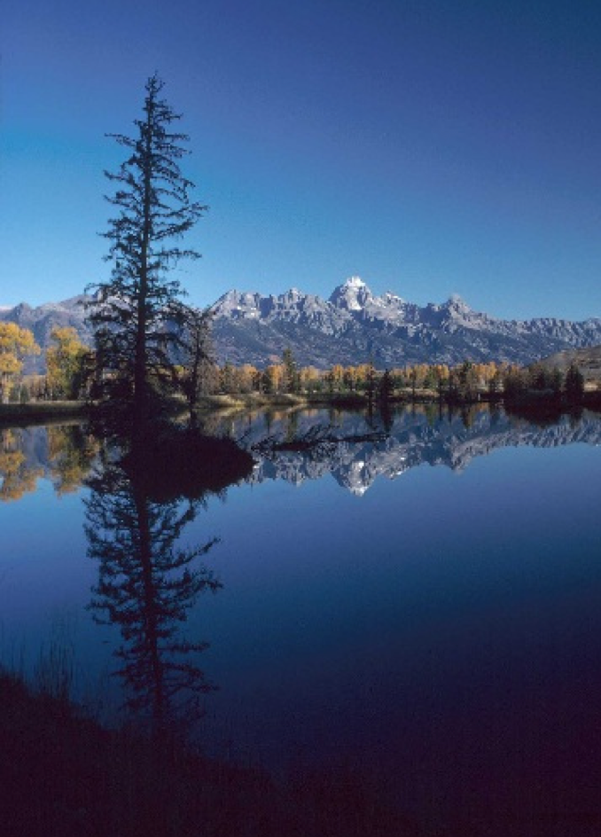 USDA's tweet image. 50th state! Sec touts 4.1M visits to WY forests; ~1/2 from WY residents. #GetOutdoors near you 1.usa.gov/1cNZqzx