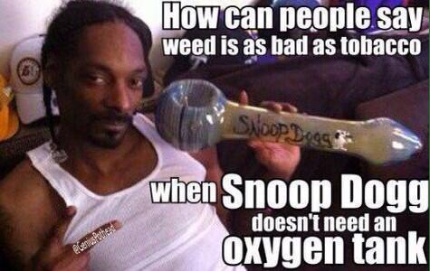 GeniusPothead's tweet photo. Snoop Dog is living proof. http://t.co/2ybSi4yyZ3