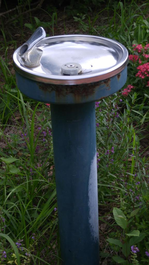 Frances Whitmore tweet media