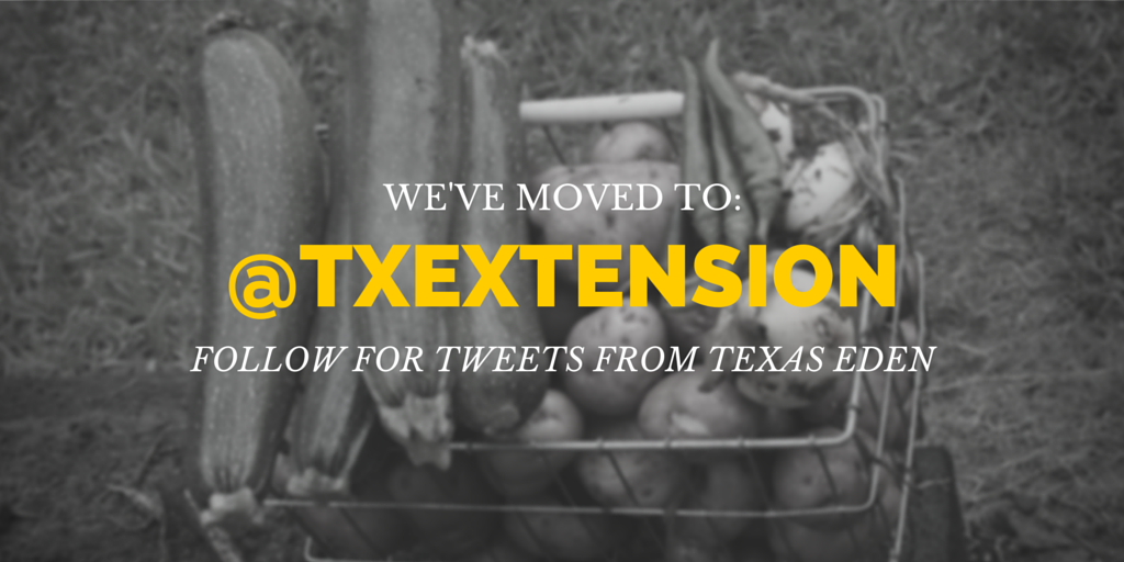 Texas EDEN tweet media