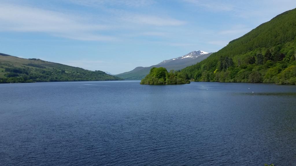 Jackie McCrea tweet media