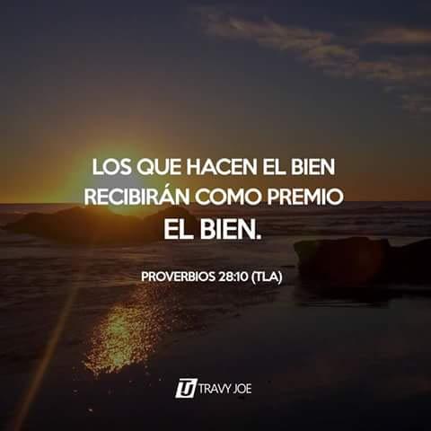 mdamiaans's tweet image. 