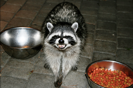 cgbrooke's tweet photo. @caseyboyle RT @anarcharaccoon: Respect existence, or expect resistance. http://t.co/rNbBsnFkXA