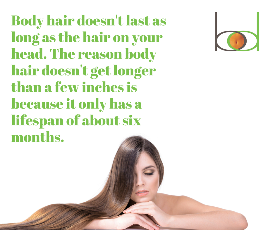 BodyDetails's tweet photo. Here's a fun factoid about hair. #TrueLaser #Factoid http://t.co/YN8sc0BoAe