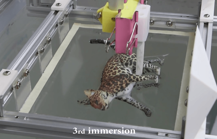 make's tweet photo. This is AMAZING: New research allows for incredibly colored 3D prints http://t.co/tGICqsVS61 #3DPrinting @MattStultz http://t.co/J9ru6HFYVj
