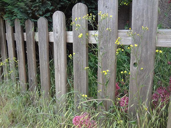 GlueckistWeiss's tweet photo. Tag 49: Zehn Minuten Zeit für einen Spaziergang um den Block im sonst so vollen Terminkalender #OneFlowADay http://t.co/NfHFPBVF6T
