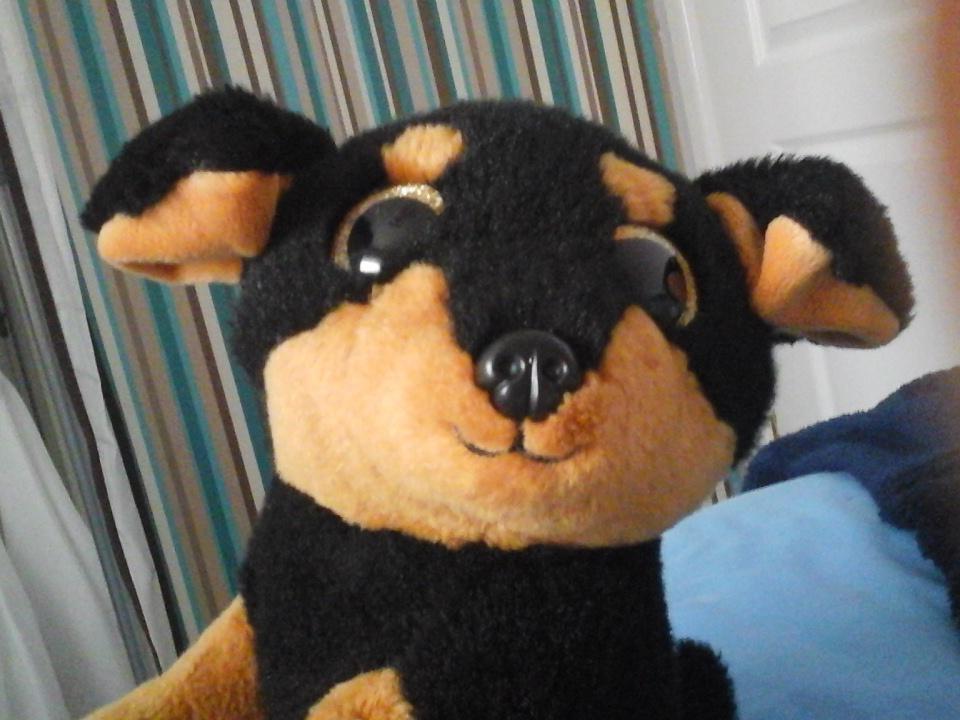 Alex_Nuget's tweet image. Carry having his first selfie