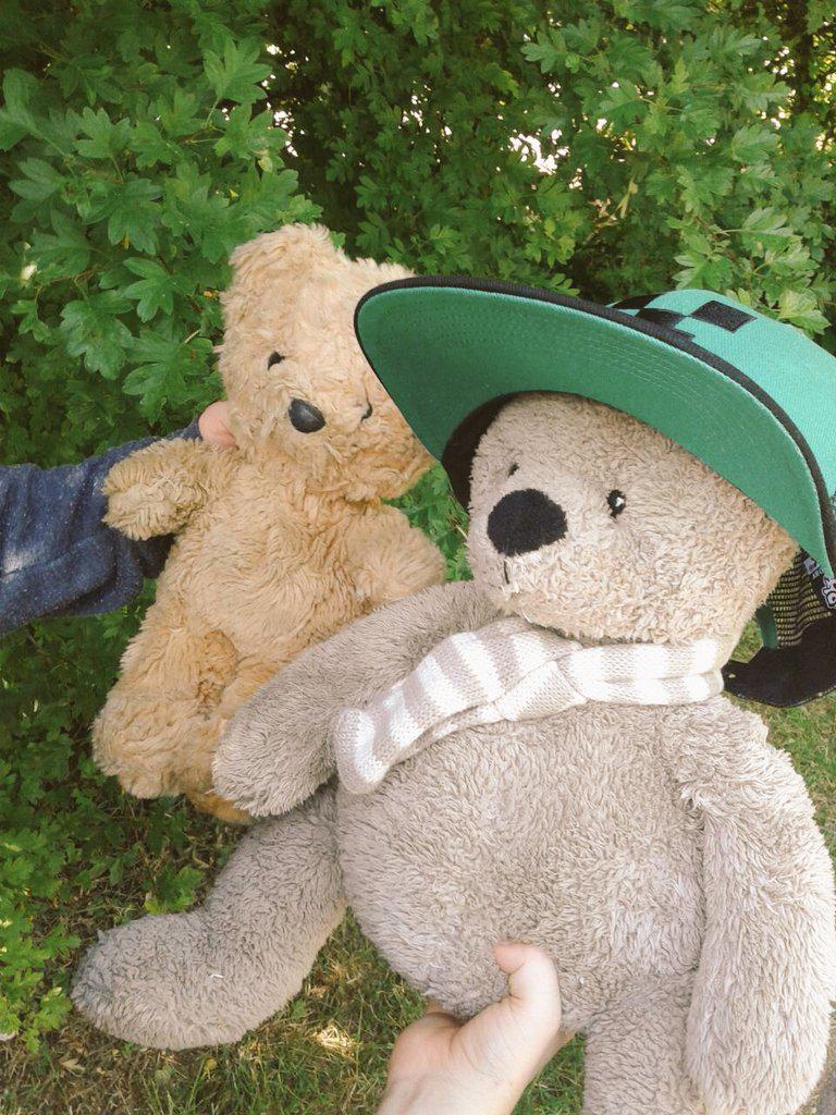 Alex_Nuget's tweet image. Lucky and boris go out #selfie