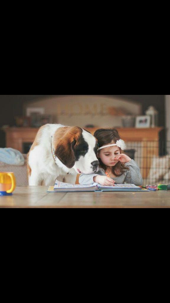 ArruarteLibe's tweet photo. Ellos nos hacen mejores personas @egapegaztegela http://t.co/bYUKMOFQSA