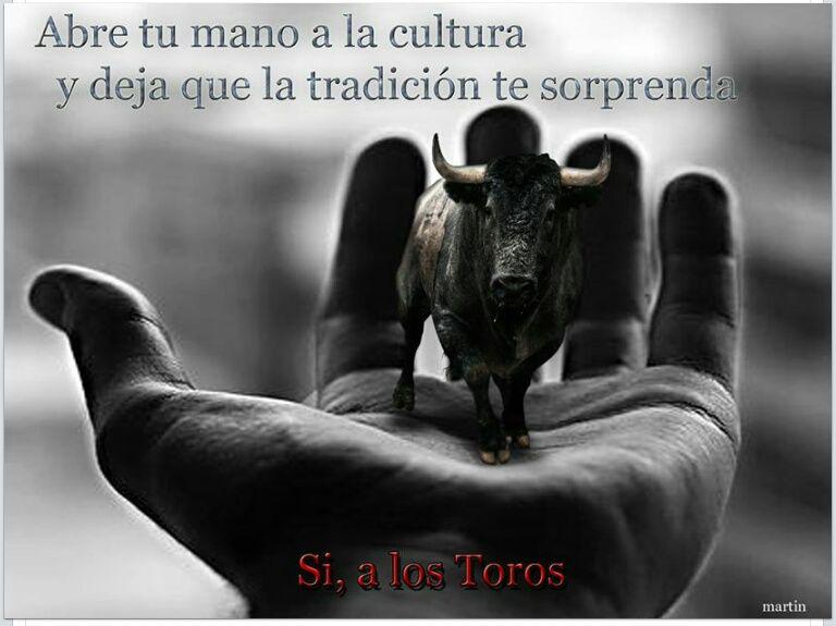 1979_rivas's tweet photo. #soyaficionadoalostoros
y quien no lo sea,q nos respete. http://t.co/VqeF6c4IKl