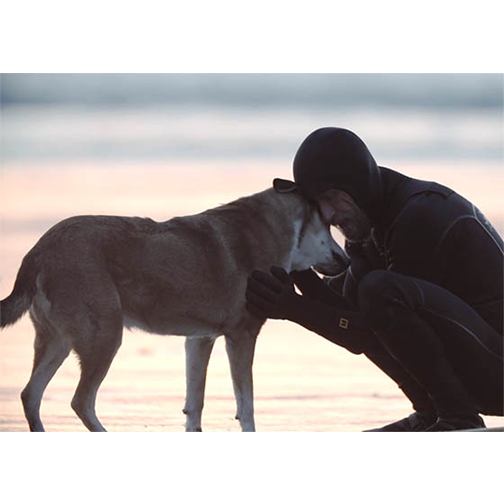 meioemensagem's tweet photo. Um cachorro, um homem, uma história. #blogdaredacao http://t.co/Vctv4ck5e9 http://t.co/lEISOmEP1G