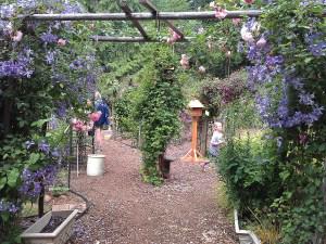 Silver Star Vinery Garden Opens clematisinseattle.com/2015/06/11/sil…