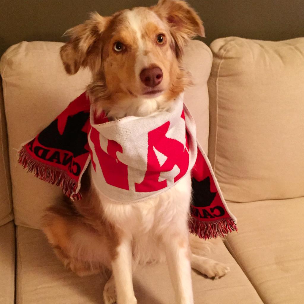 Jlighto's tweet photo. Waiting for the game to come back on...#canWNT #FIFAWWC2015 #CanadaRED @Kara_Lang @tsnjamesduthie @jasondevos http://t.co/F0pJmfZy4a