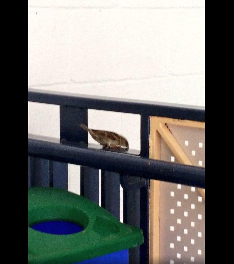 DeadBirdBCC's tweet photo. When you're trying to look for the kid whose playing the piano during your exam http://t.co/NEidLHzULt