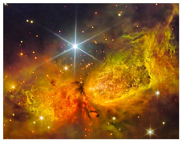 🌻❤️😊