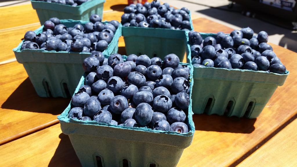 Elizabeth Miller tweet media