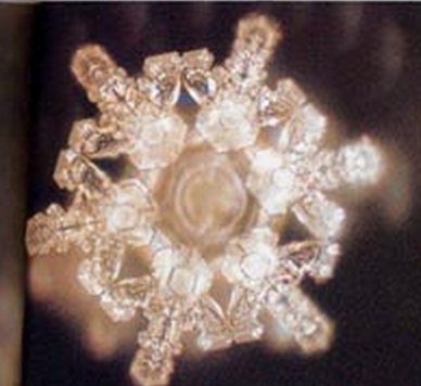 MusicSplitter's tweet photo. Scientific discovery, speaking to water can change its shape? Worth looking into... 
http://t.co/gzebiUBGJe http://t.co/Qeo576ZlyN