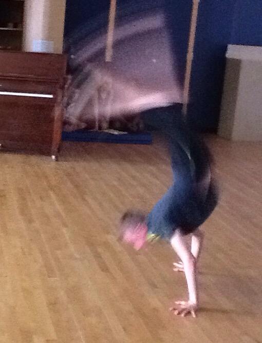 SurreyCentre's tweet photo. A few pics of the dance performers - Talent Show. We were so impressed with the skill of our many performers. http://t.co/lLALCiVlLe