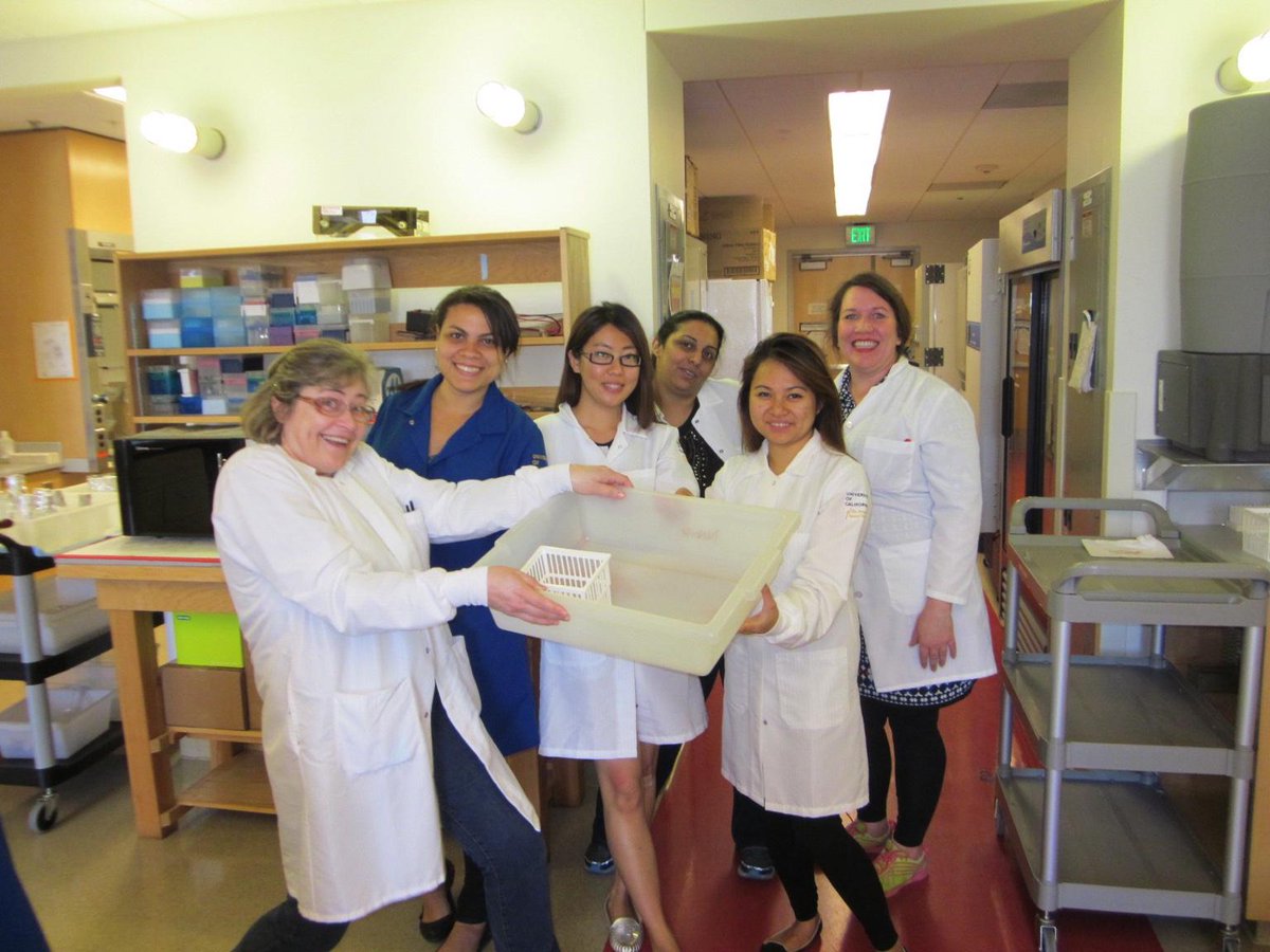 Boohoo! The male colleague who took this #distractinglysexy photo didn’t even want a copy.  Oh!  Boohoo!