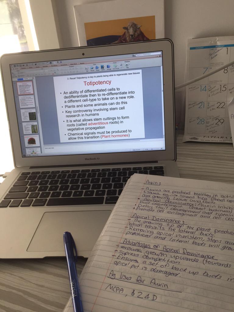 Study day #botany