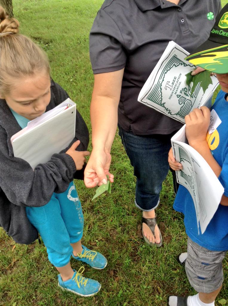 YorkCountyNE_4H's tweet photo. We got to learn all about different kinds of trees and even plant our own today thanks to @pallsthree #LeafingOut http://t.co/PlewFx2h9h