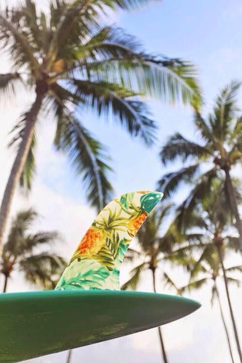 AmazingPlacez's tweet photo. Retweet/Favorite if you surf 🌴🏄🏼 http://t.co/N7V8vvW2WT