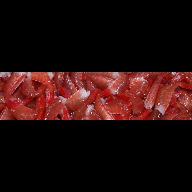 chungsfishchips's tweet photo. @LadnerVillage we will be selling fresh and frozen BC SPOT PRAWNS please be early! http://t.co/kxMTXiXDVW