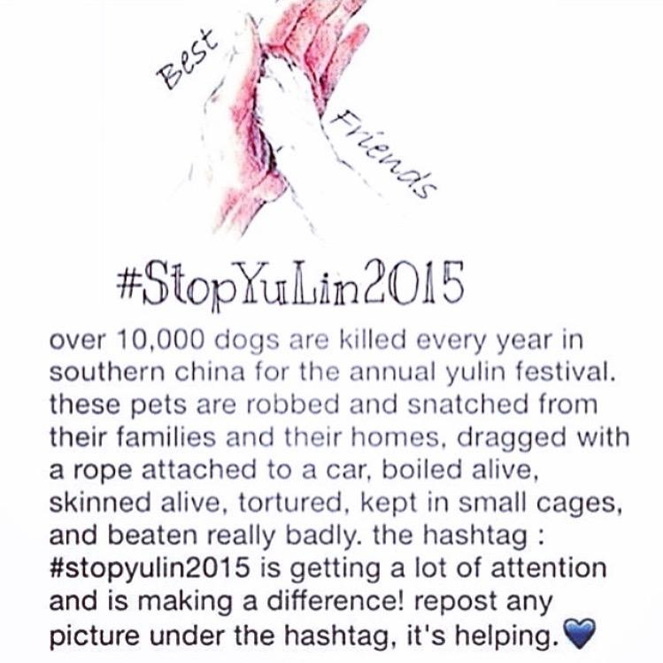 5sose31d's tweet photo. Everyone please take time to read this and spread awareness. What they're doing is unhuman and cruel 
#StopYuLin2015 http://t.co/a6TIyfjGaL