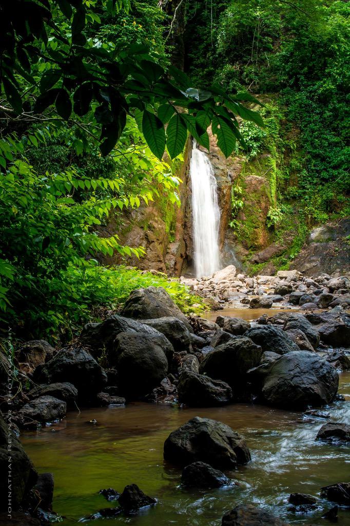 JohnathanReynar's tweet photo. Adventure into the rainforest is truly amazing in the rainy season, always a unique adventure!
#NaturePhotography http://t.co/H87qQpGbfC