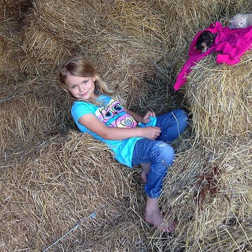 HamLocator's tweet image. W8FY is mobile near Wren, United States flic.kr/p/oaFkSU aprs.fi/info/a/W8FY-9 #hamradio #hamr