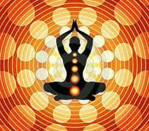 agni_act's tweet photo. TheTN government issued a circular asking all schools and colleges to celebrate the International Yoga Day on June 21 http://t.co/Ssb6Nko0AY