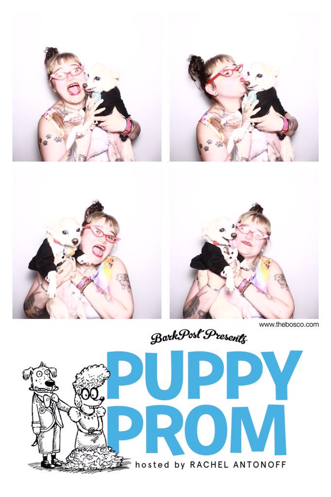 sassafraslowrey's tweet photo. I've now fulfilled my dream of getting little Mercury into a photo booth! <3 #BarkProm http://t.co/kBB3NUlhgv