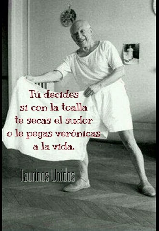 Andres Allende (@andres_allende) on Twitter photo 