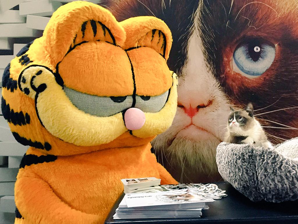 RealGrumpyCat's tweet photo. .@Garfield creator Jim Davis meets Grumpy Cat http://t.co/h1G5e4i8Lc @mashable @licensingexpo #Licensing15 http://t.co/HP6zM01HIQ