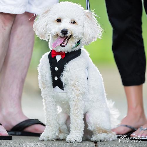 HamLocator's tweet image. W8MRG is mobile near Montgomery Heights, United States flic.kr/p/uuzvZJ aprs.fi/info/a/W8MRG-9 #hamradio #hamr