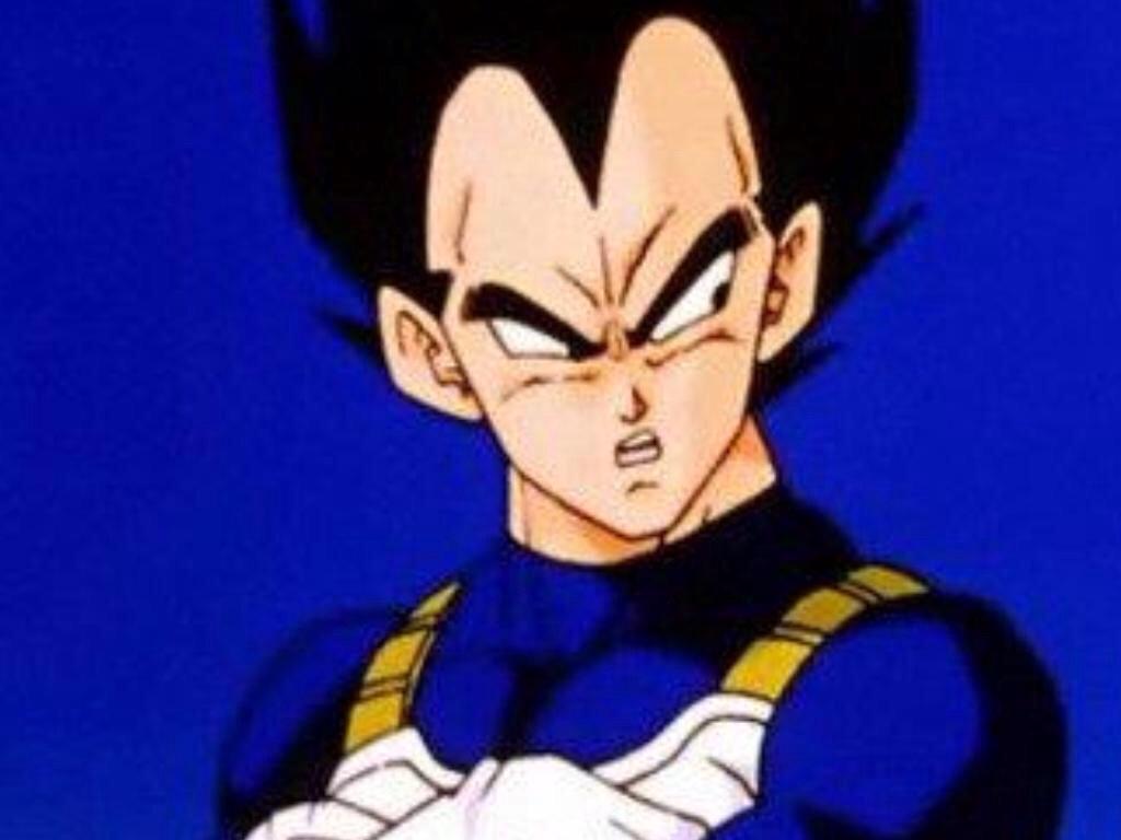 ProtectorVegeta tweet picture