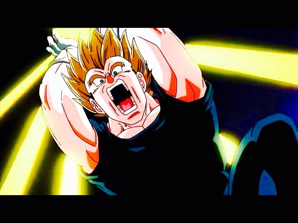 ProtectorVegeta tweet picture