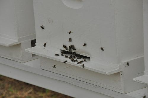 HamLocator's tweet image. VK4SM is mobile near Blackwater, Australia flic.kr/p/o2SWUh aprs.fi/info/a/VK4SM-9 #hamradio #hamr