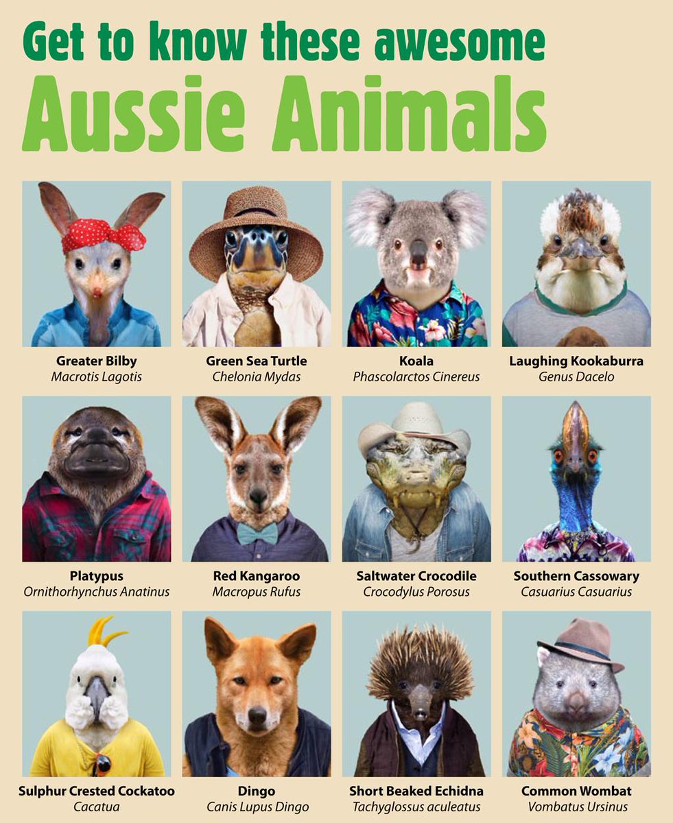 Queensland Australia tweet media