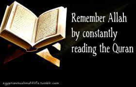jafimotharawala's tweet photo. @yasminahmad7 @_yasminz_  @zakfa68 @musrivah @Z_aakiraN  @musrivah http://t.co/2E1IYjYMiJ