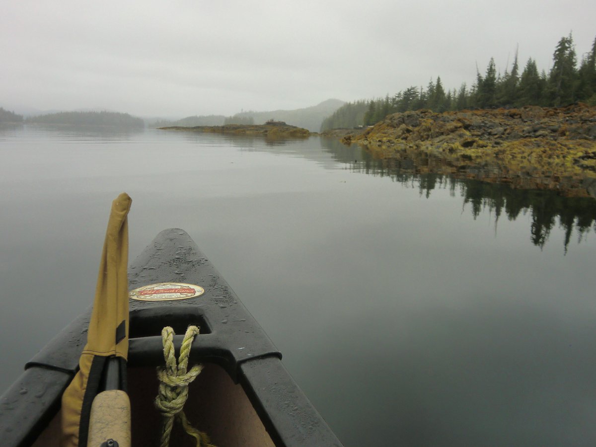 stevenrinella's tweet photo. View from a coastal bear hunt. What an amazing trip. http://t.co/T4RzcrhM9X