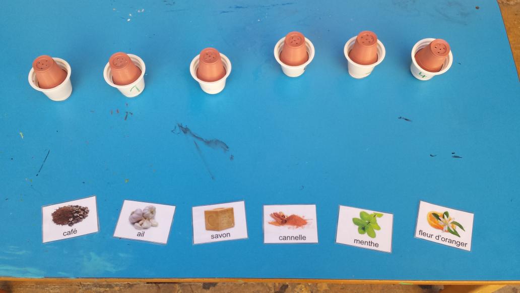 EliteBeyrouth's tweet photo. DÉFI N 6 : loto des odeurs !! Sauras tu reconnaître ce qui se cache dans les pots ? http://t.co/LT3pRTI3TV