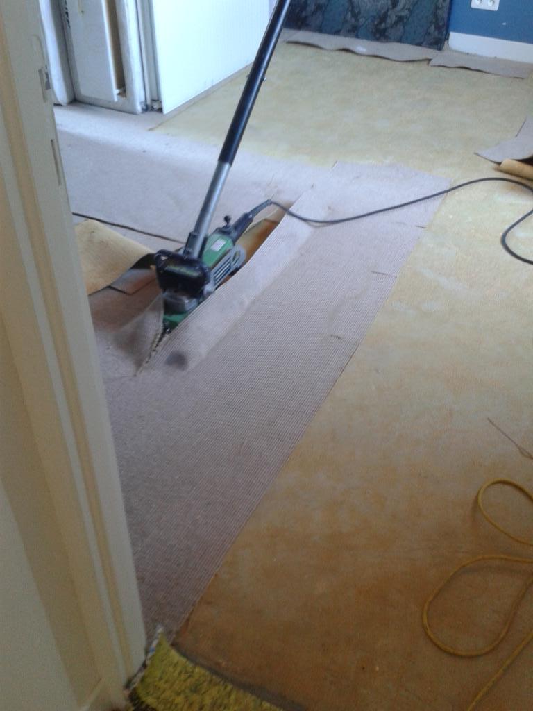 carpetmanfrance's tweet photo. #wolfftools hard at work http://t.co/KgSKHn7k3u