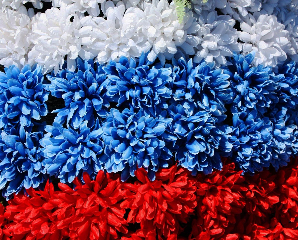 Друзья, поздравляем всех с Днем России! #МЕГА #Омск #omsk #мегаомск