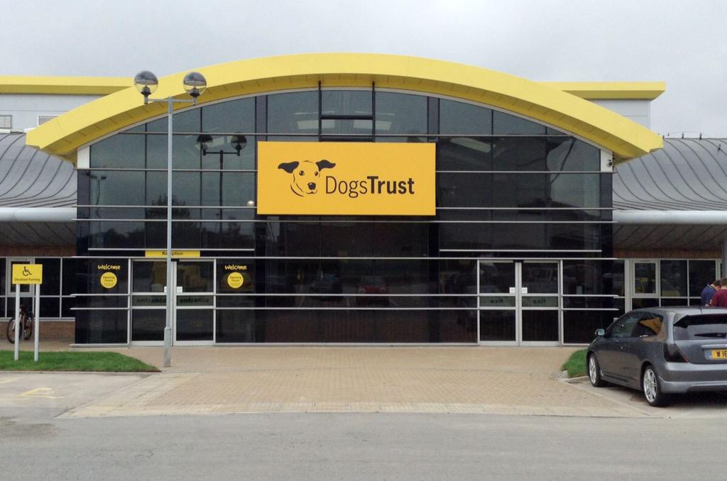 DogsTrust_IE's tweet image. #animalwelfareconference - Dogs Trust big announcement! A State of the art rehoming centre will be coming to Cork!