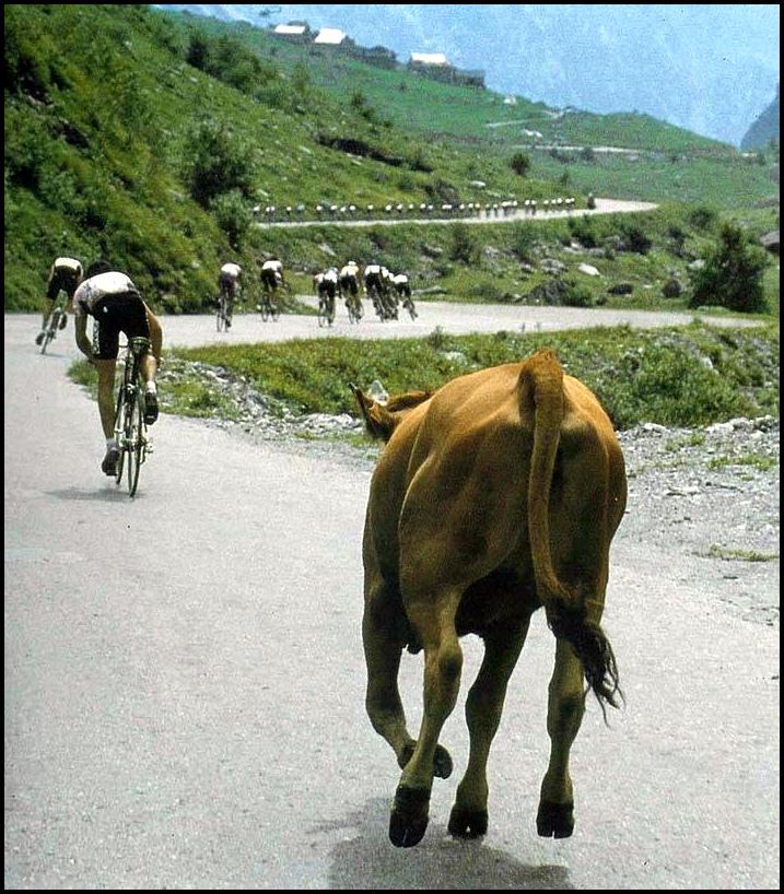 PoPOPinGPonG's tweet photo. Si un des coureurs à un coup de mou dans le #coldurousset :-) #CritériumduDauphiné #Twittcyclos http://t.co/eRYQYghXLG